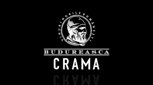 Vin Crama Budureasca